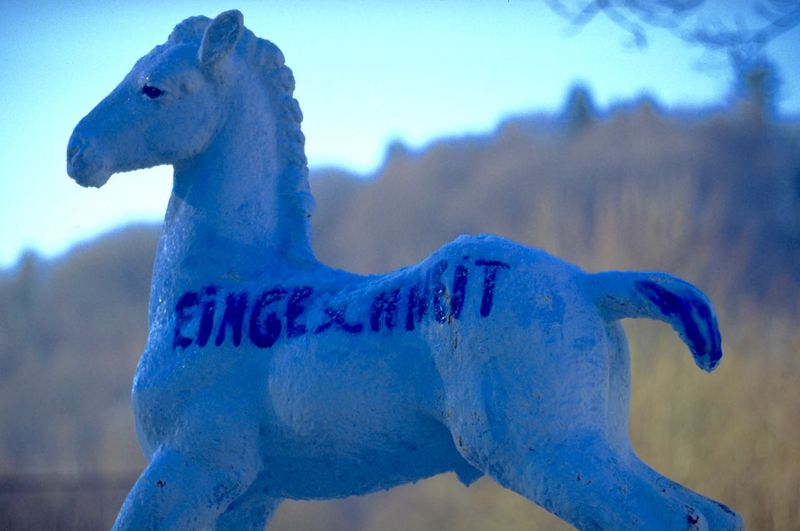Holbein-Pferd blau mit weißer Schrift „eingeschneit“, Nahaufnahme