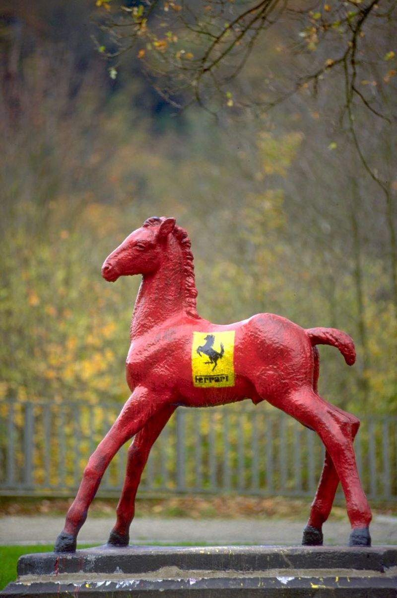 Holbein-Pferd rot mit gelbem Ferrari-Wappen im Herbst