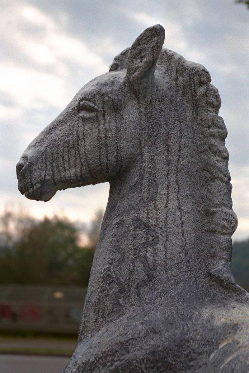 Holbein-Pferd grau in Granit-Optik, Nahaufnahme des Kopfes