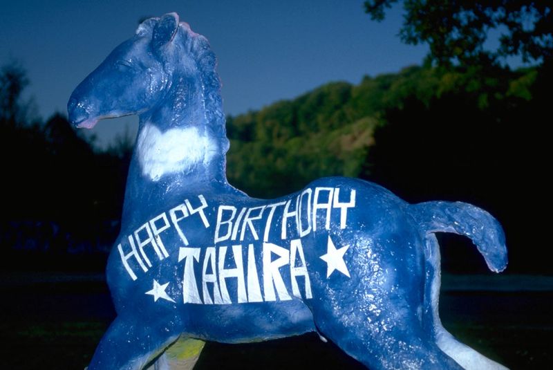 Holbein-Pferd blau mit weißer Schrift „Happy Birthday Tahira“ und Sternen