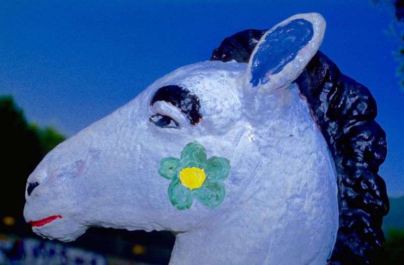 Holbein-Pferd Nahaufnahme: weißer Kopf mit gelber Blume und blauer Mähne